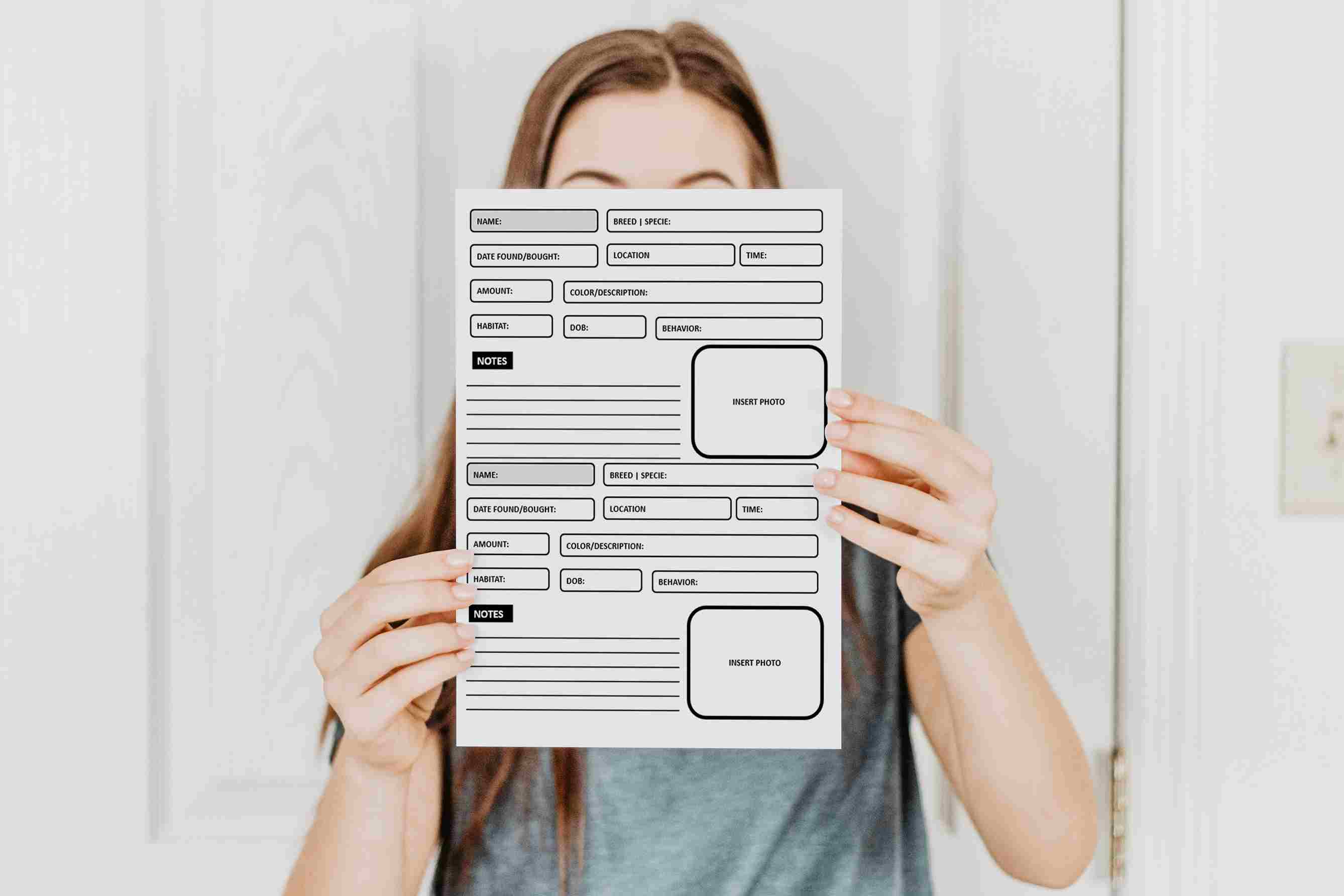Snake Care Chart Template